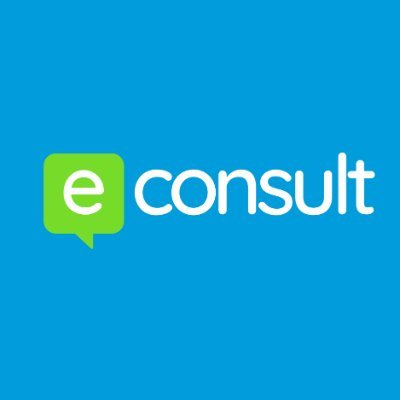 e-consult logo wording only