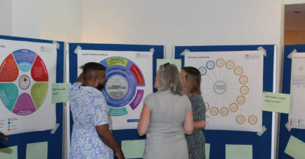 Organisers and delegates talk and discuss in front of posters at the common ambition event