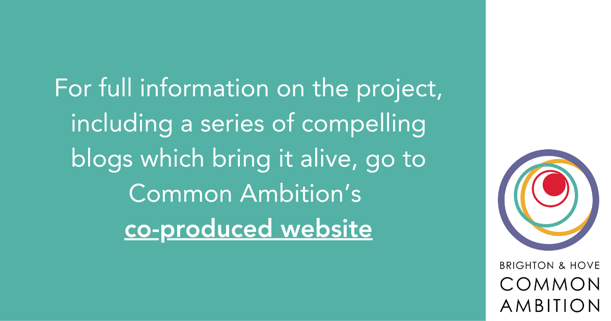 A graphic with the Common Ambition logo, and wording saying: For full information on the project, including a series of compelling blogs which bring it alive, go to Common Ambition's co-produced website.